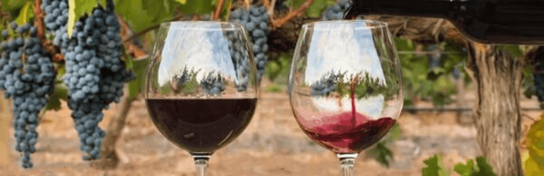 What happens by our mouth when we take a wine?