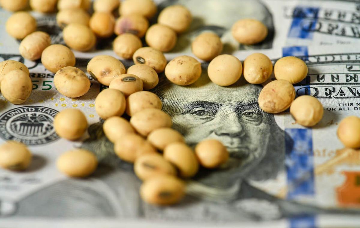 Dollar Soy: Pan for today, hungry for tomorrow