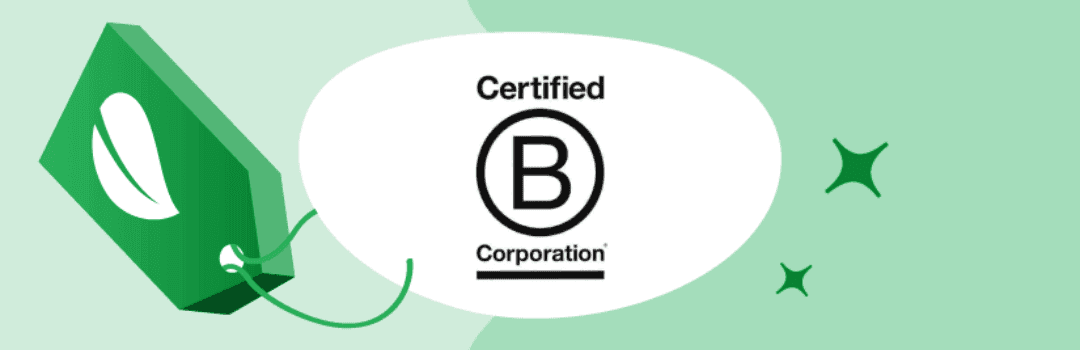 The Impact Triple Model: where companies go