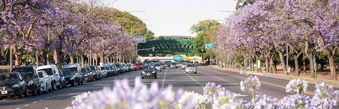 Exploring the Spring in Buenos Aires: A cultural tour.