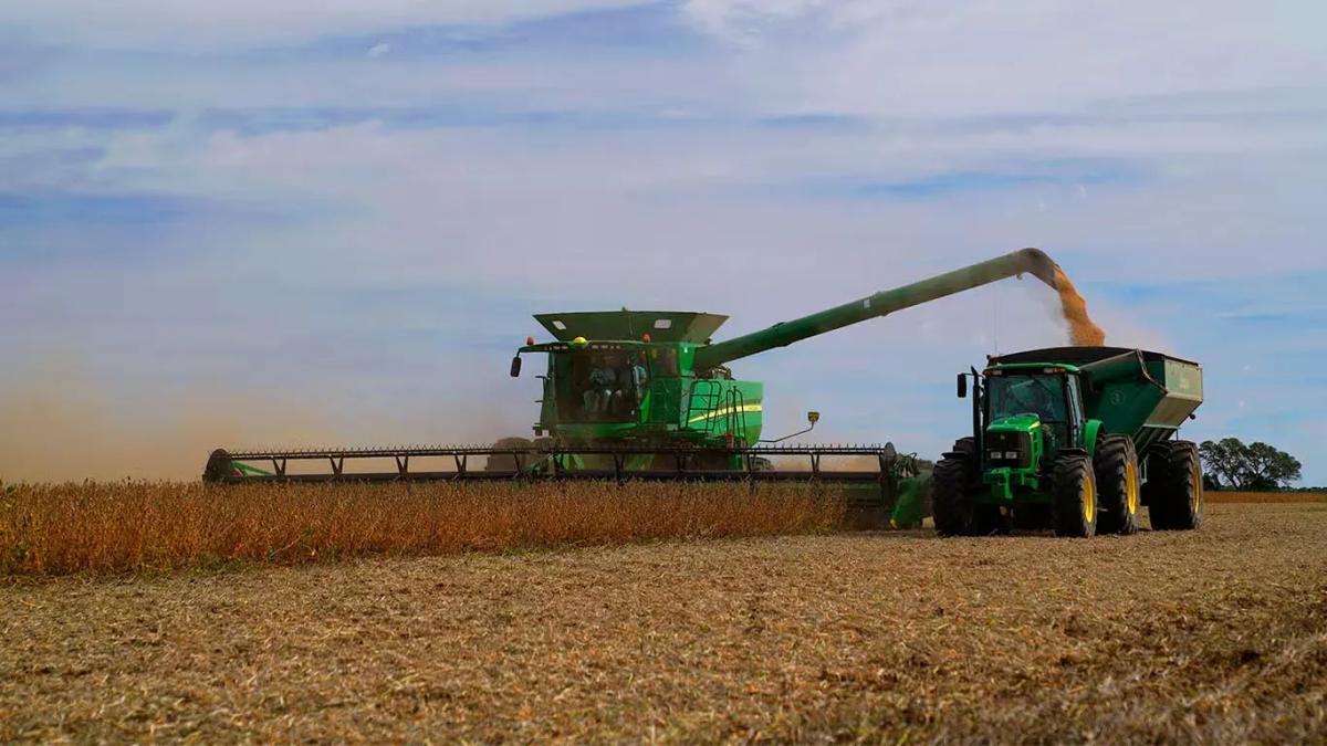 A Agro Argentino diante do Desafio da Gestão Milei: Perspectivas e Desafios