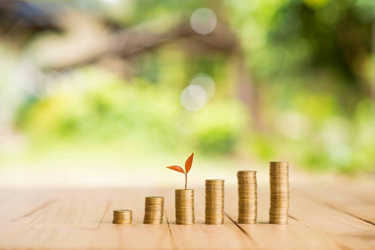 Finanças Pessoais: 8 temas a revisar de sua estrutura econômica