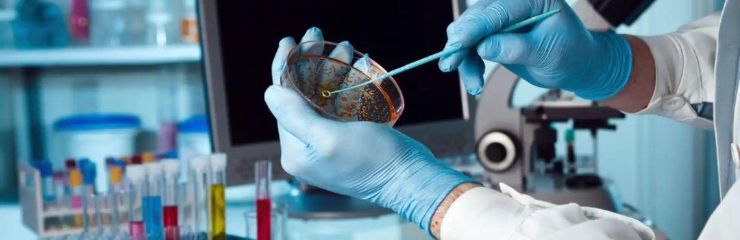 Hoje em “O estranho mundo da Biotecnologia”: O preço da ignorância