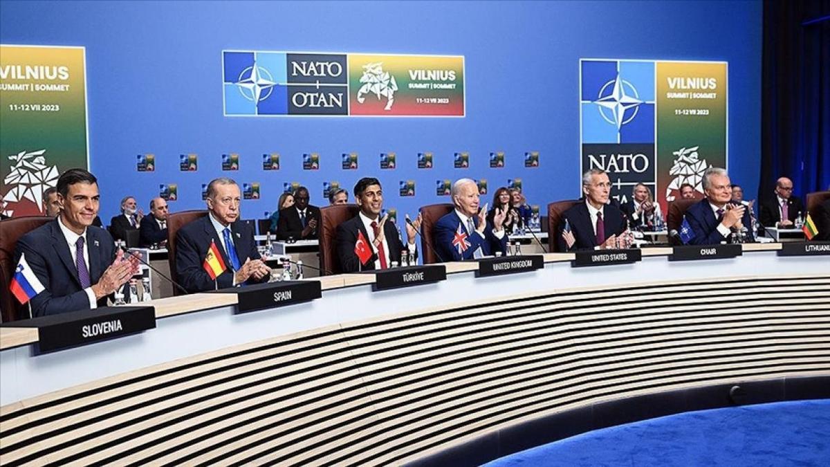 Cimeira anual da NATO em Vilna: Agenda e resultados