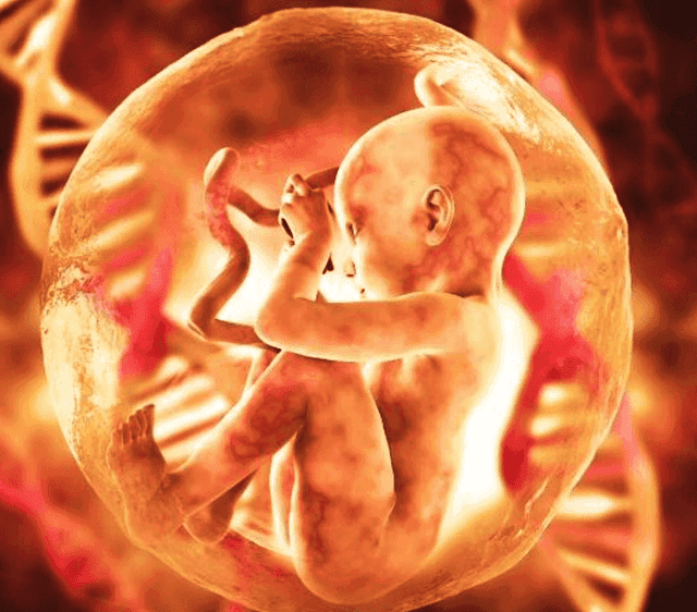 Technological developments and embryos