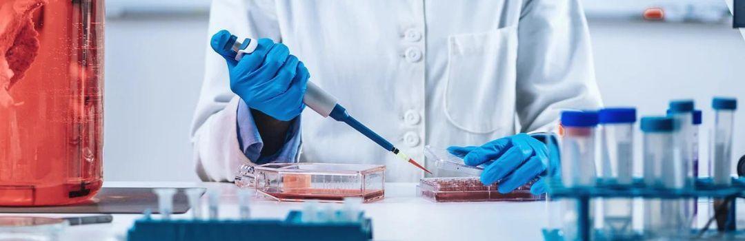 Impacto em 17 dos 17. Biotecnologia e Desenvolvimento Sustentável