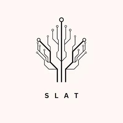 Slat Innovation in cryptocurrencies