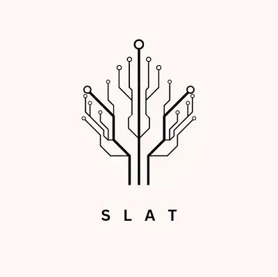 Slat Innovation in cryptocurrencies