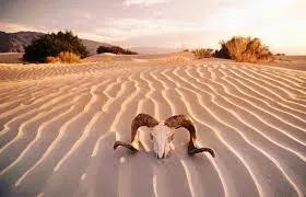 THE VALLEY OF DEATH