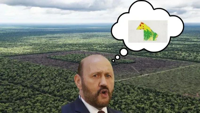 Zonas verdes, territorios vacíos: la silenciosa falla de la Ley de Bosques