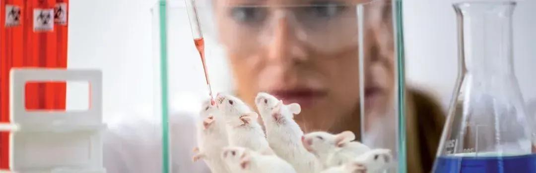 Pedido de desculpas aos animais de laboratório, as "mascotes da ciência".