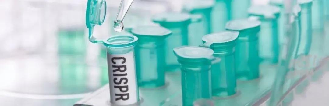 Aprueban la primer terapia génica CRISPR en Reino Unido