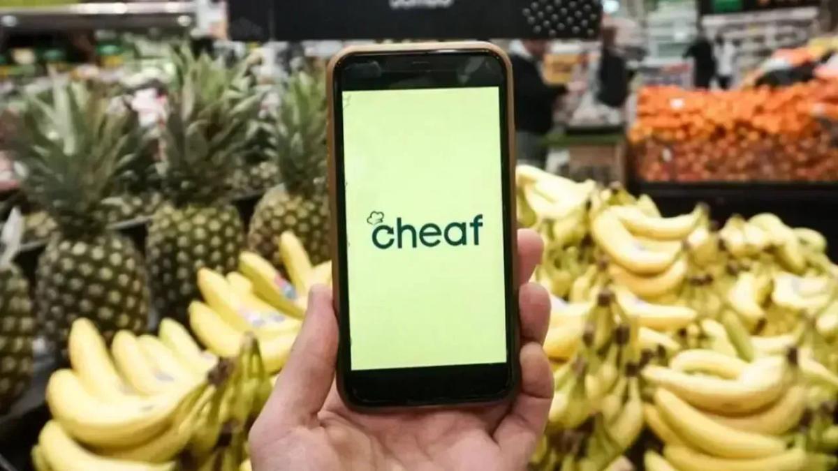Cheaf: uma aplicação para poupar dinheiro, comer bem e cuidar do planeta