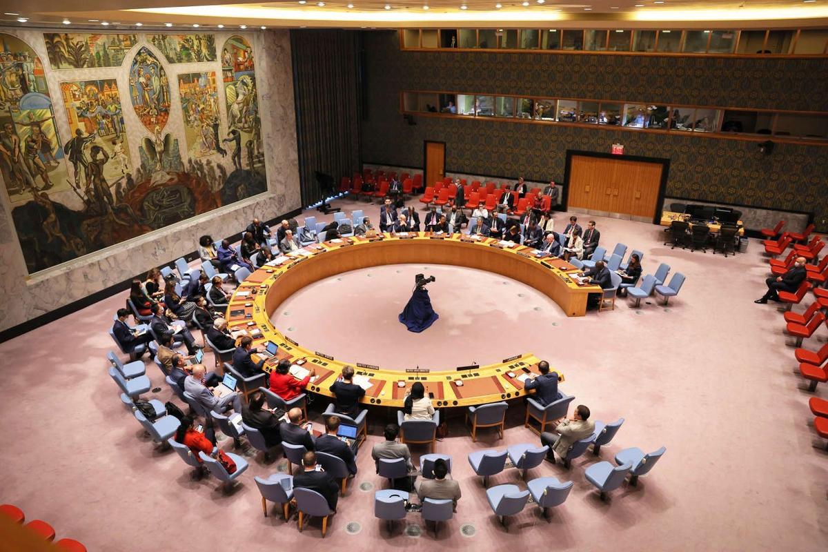 Las Naciones Unidas y el nuevo Tratado de alta mar: ¿Cuál es el futuro de los Organismos Internacionales?