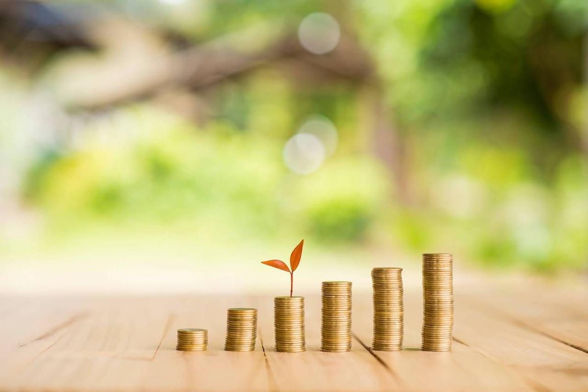 Personal Finance: 8 themes to review your economic structure
