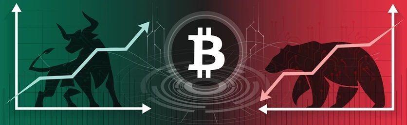 Halving BTC and the financial market cycles of blockchain technology