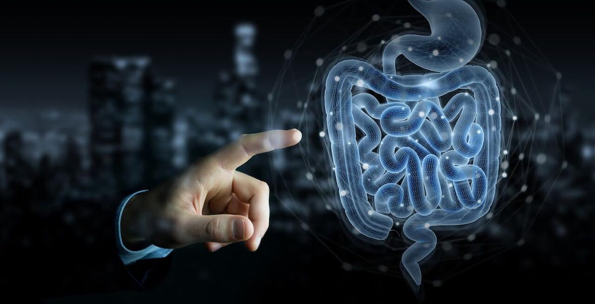 Intestinal microbiota: The secret to modify states of mind, cure diseases and extend life?