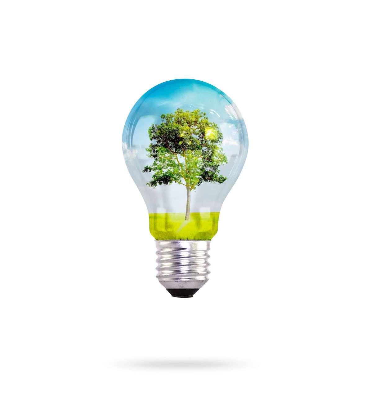 Compensate: A good business
