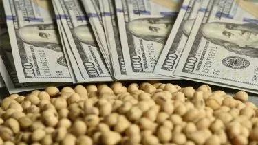 Retenções Zero: Um Remendo ou uma Solução?