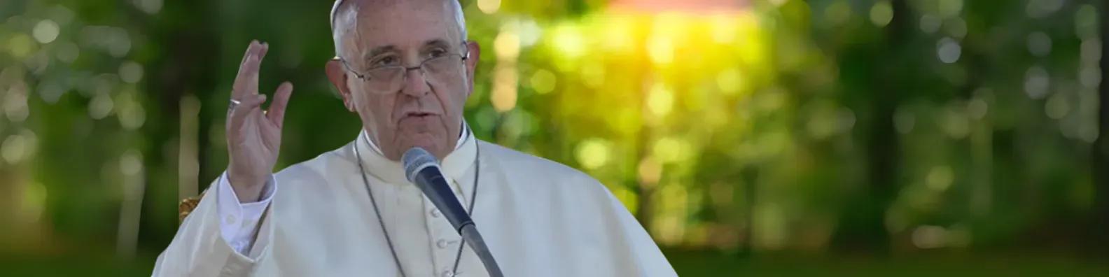 O legado ambiental do Papa Francisco: um chamado para cuidar da nossa casa comum diante da crise climática