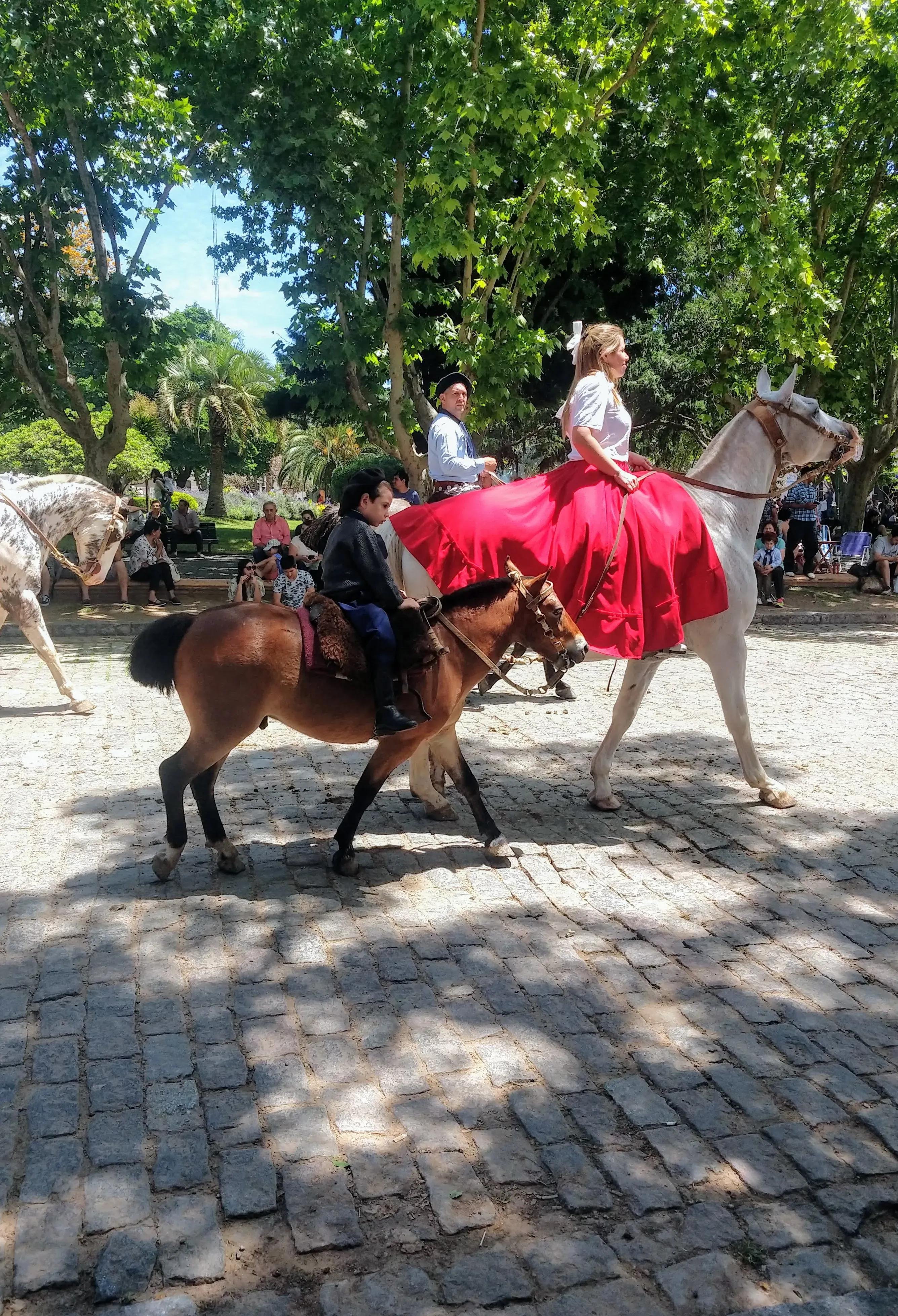 Celebrando Nuestras Raíces: El Día de la Tradición
