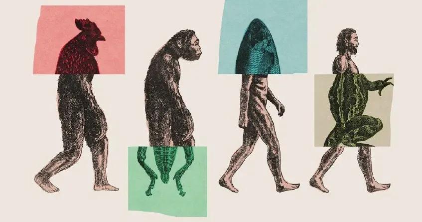 Genetic replication as one of the fundamental factors for evolution