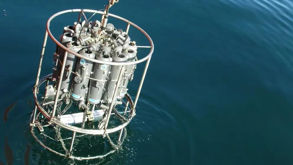 "Echoes of Two Canyons": the new scientific expedition that will explore the Argentine Sea